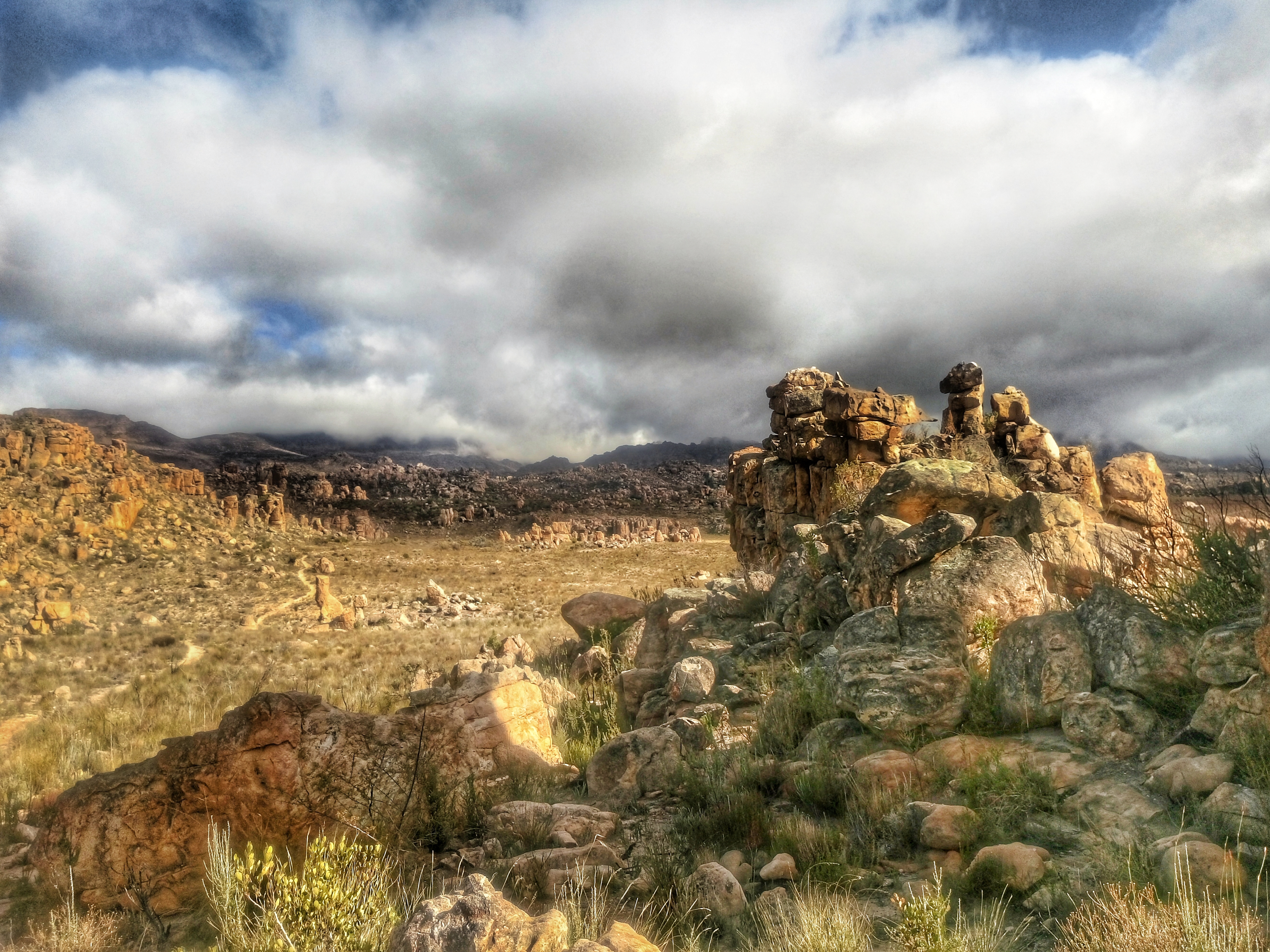 Cederberg sandstone wilderness